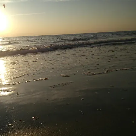 Kastycio 6a Проживание в семье *